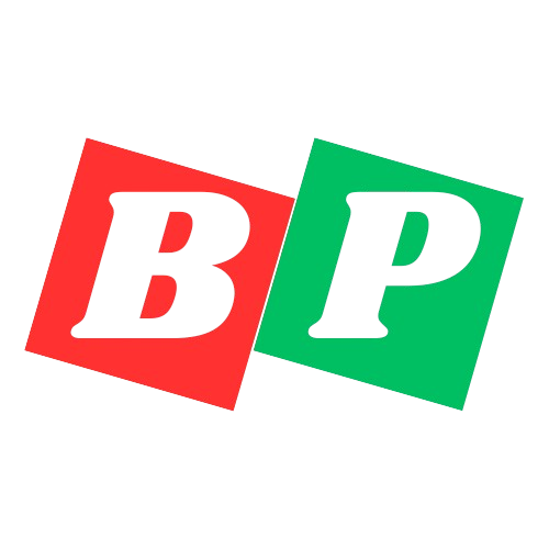 Brain Plus Logo